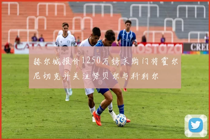 赫尔城报价1250万镑求购门将霍尔尼切克并关注努贝尔与科利尔