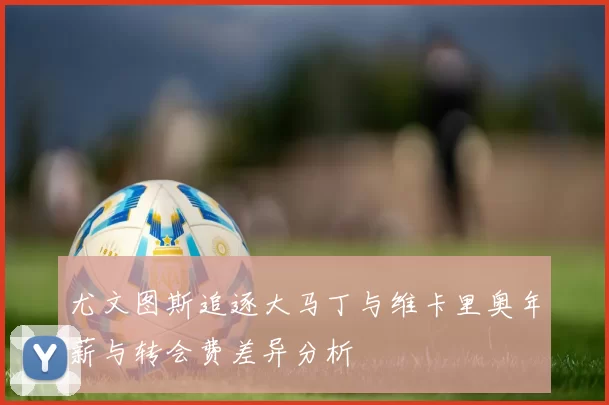 尤文图斯追逐大马丁与维卡里奥年薪与转会费差异分析